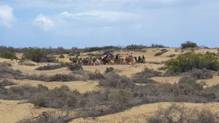 2023-GC--Mapalomas dunas-S123-011.jpg